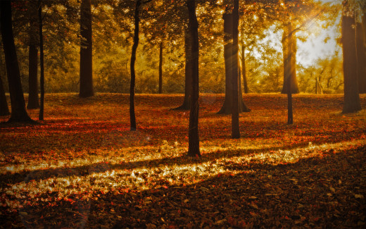 586513 (a): :1920x1200